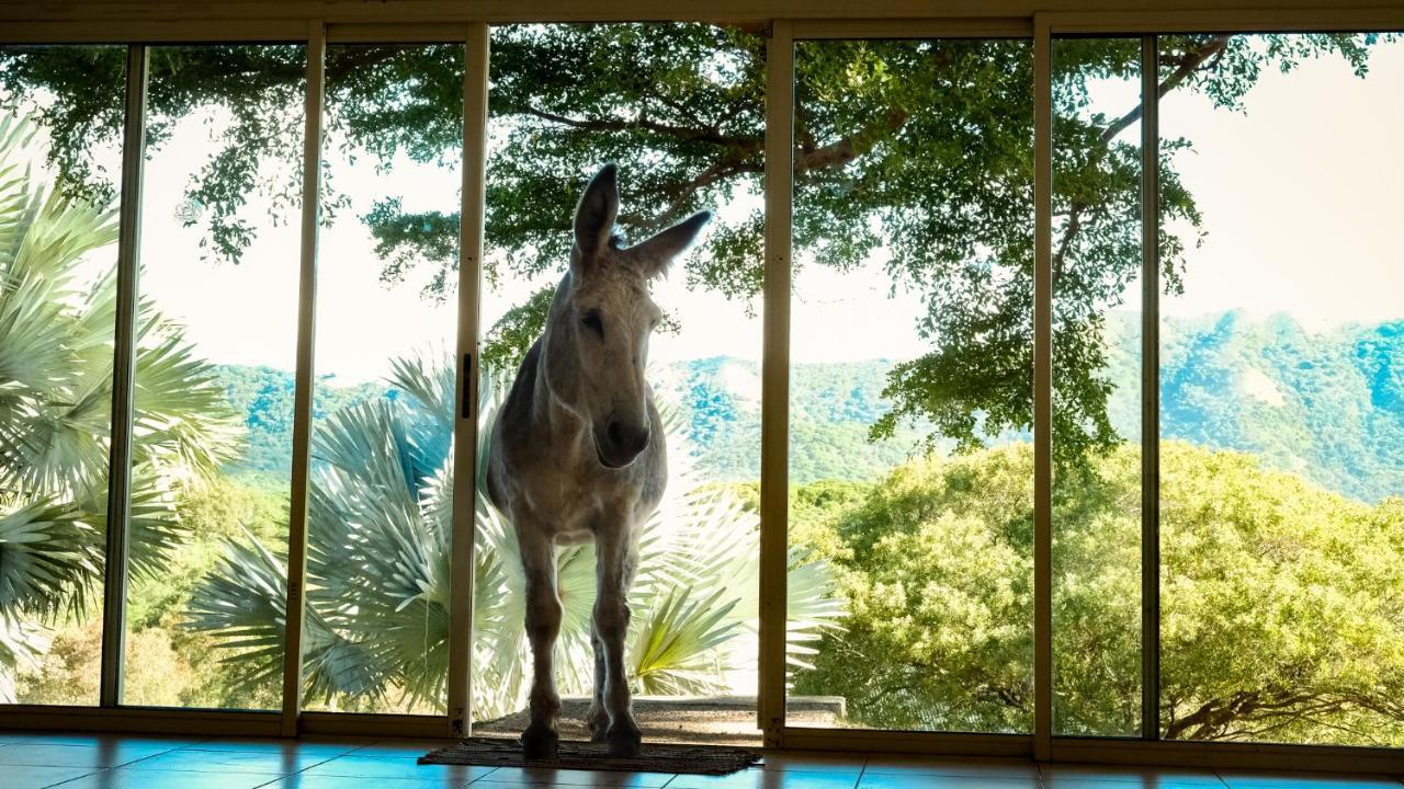 Rivland Resort Païta エクステリア 写真